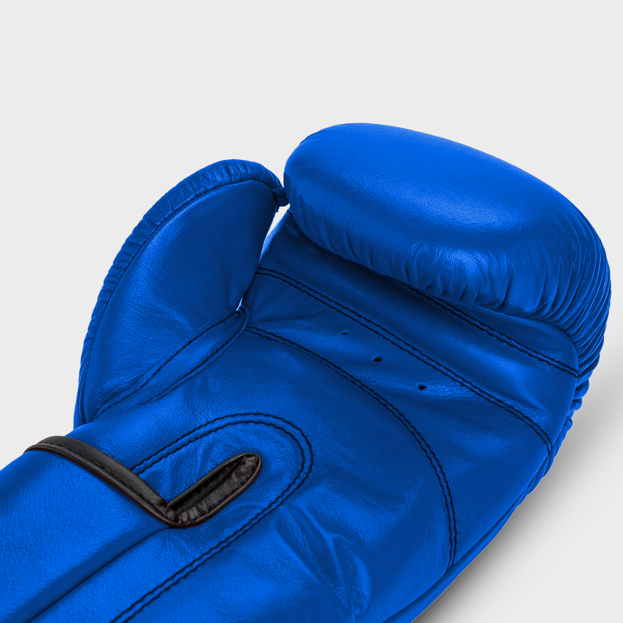 Titan PRO Blue Guerrero™ Genuine Leather Boxing Gloves