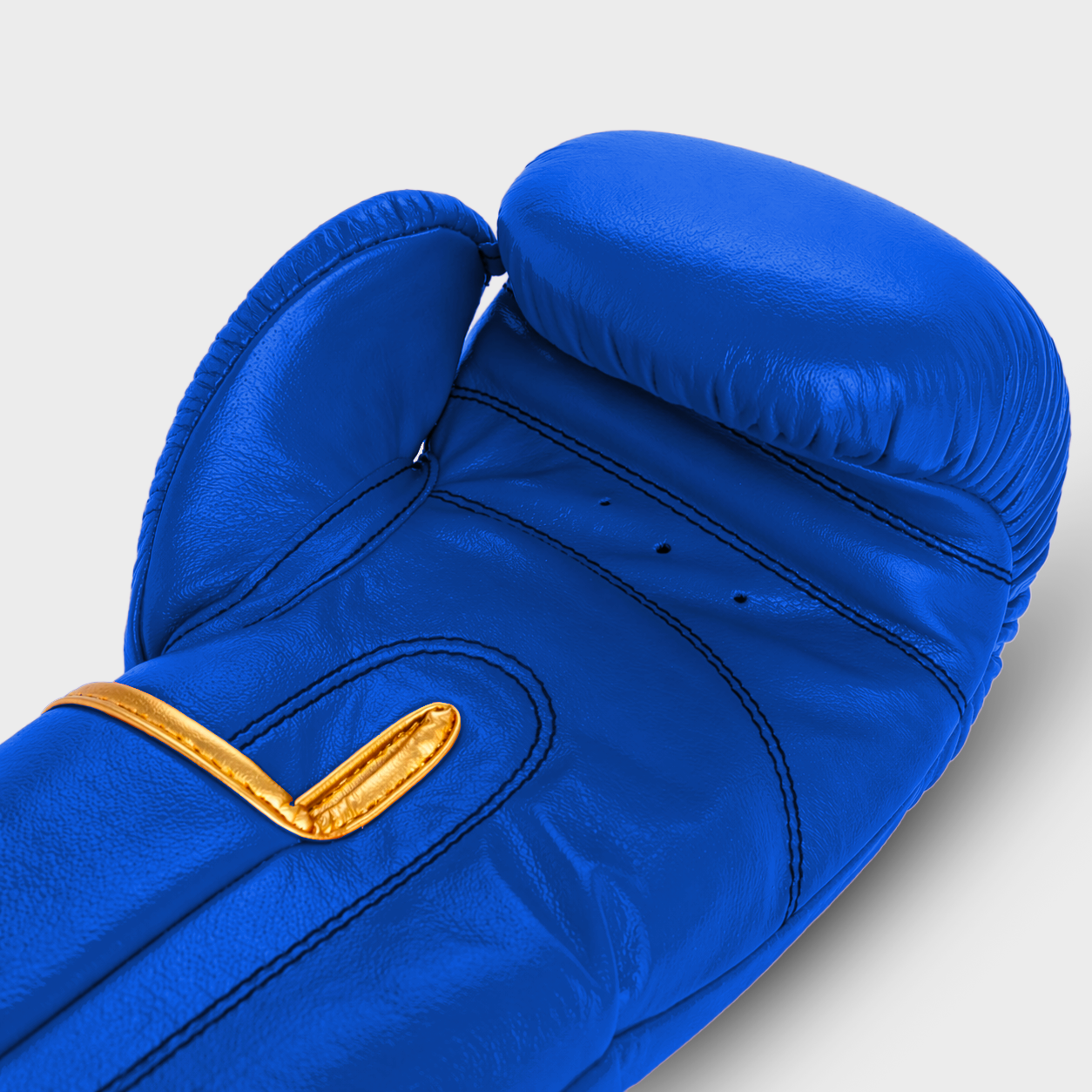 Titan PRO Blue Guerrero™ Genuine Leather Boxing Gloves